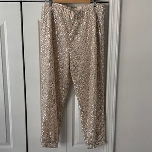 Sparkling Sequin Pants